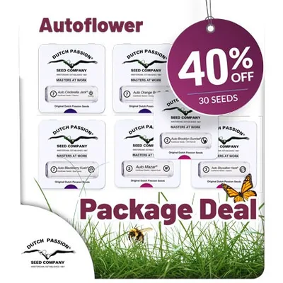 Autoflower Package Deal cannabis seeds